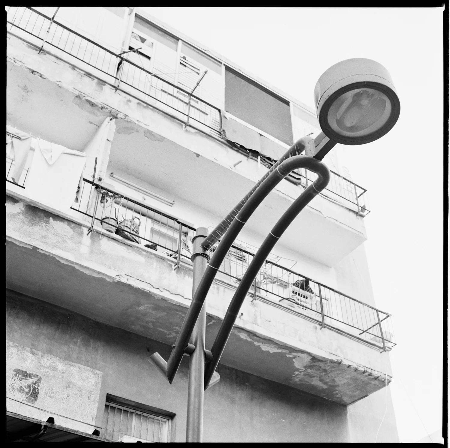 img 0 006.jpg