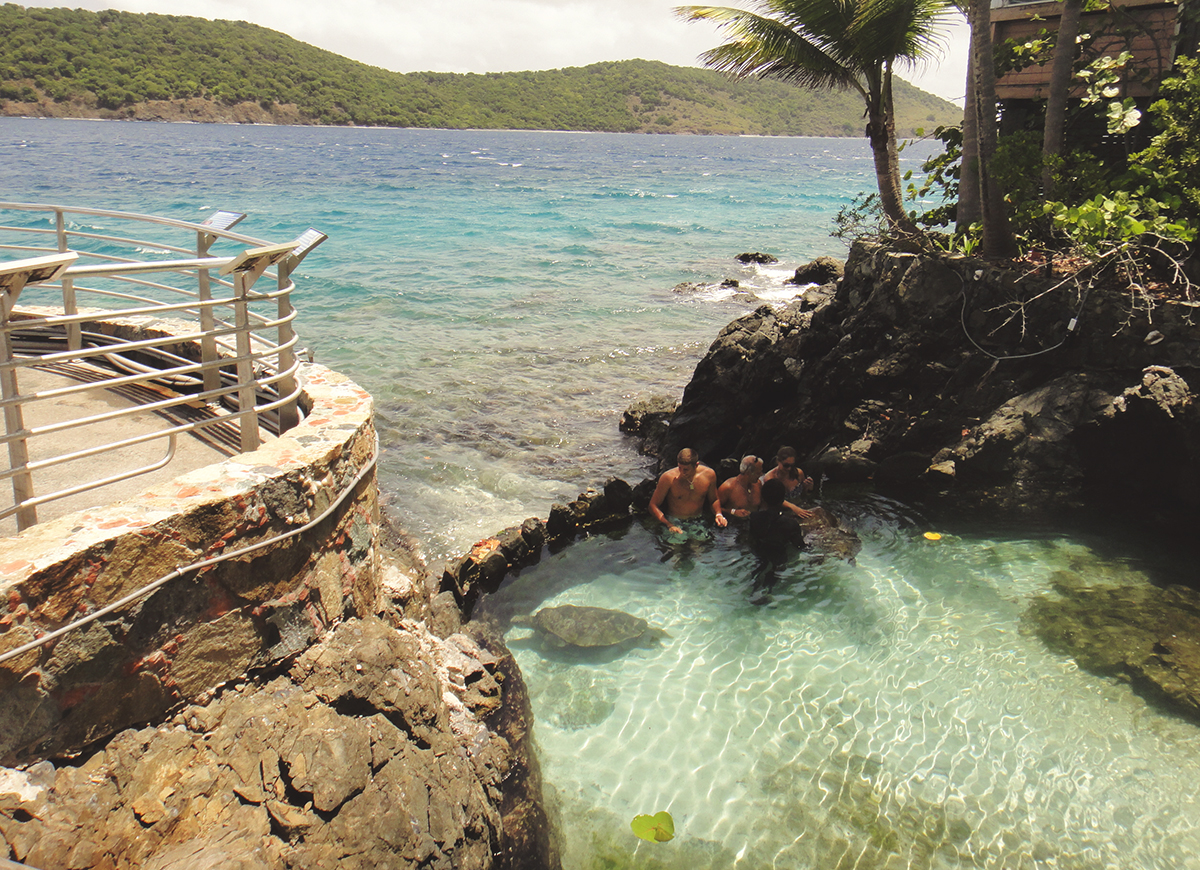 Playing with the sea turtles