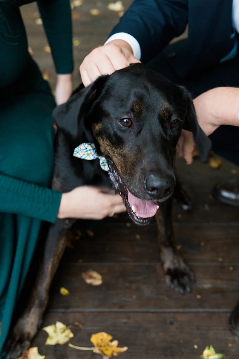 maddie + ryan-0011.jpg