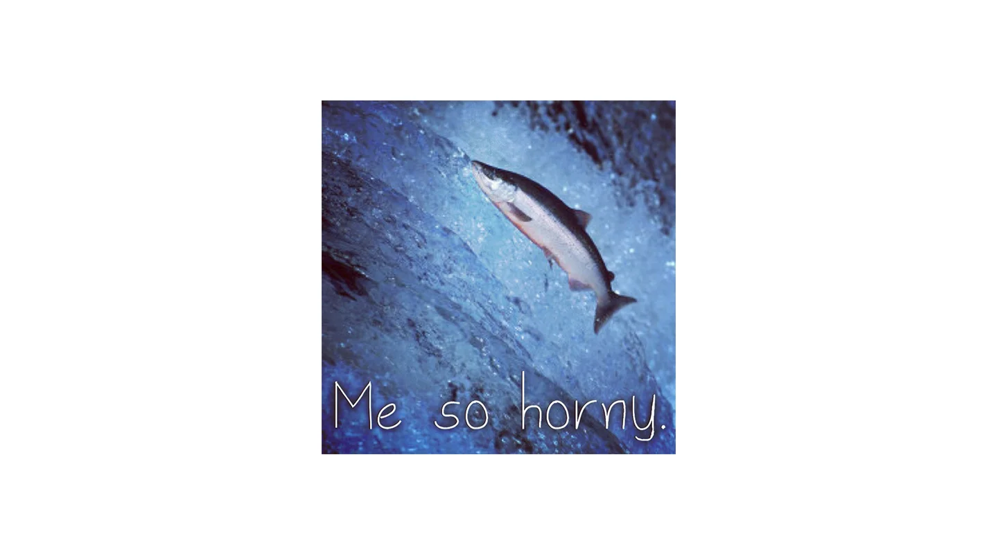 15_salmon.jpg
