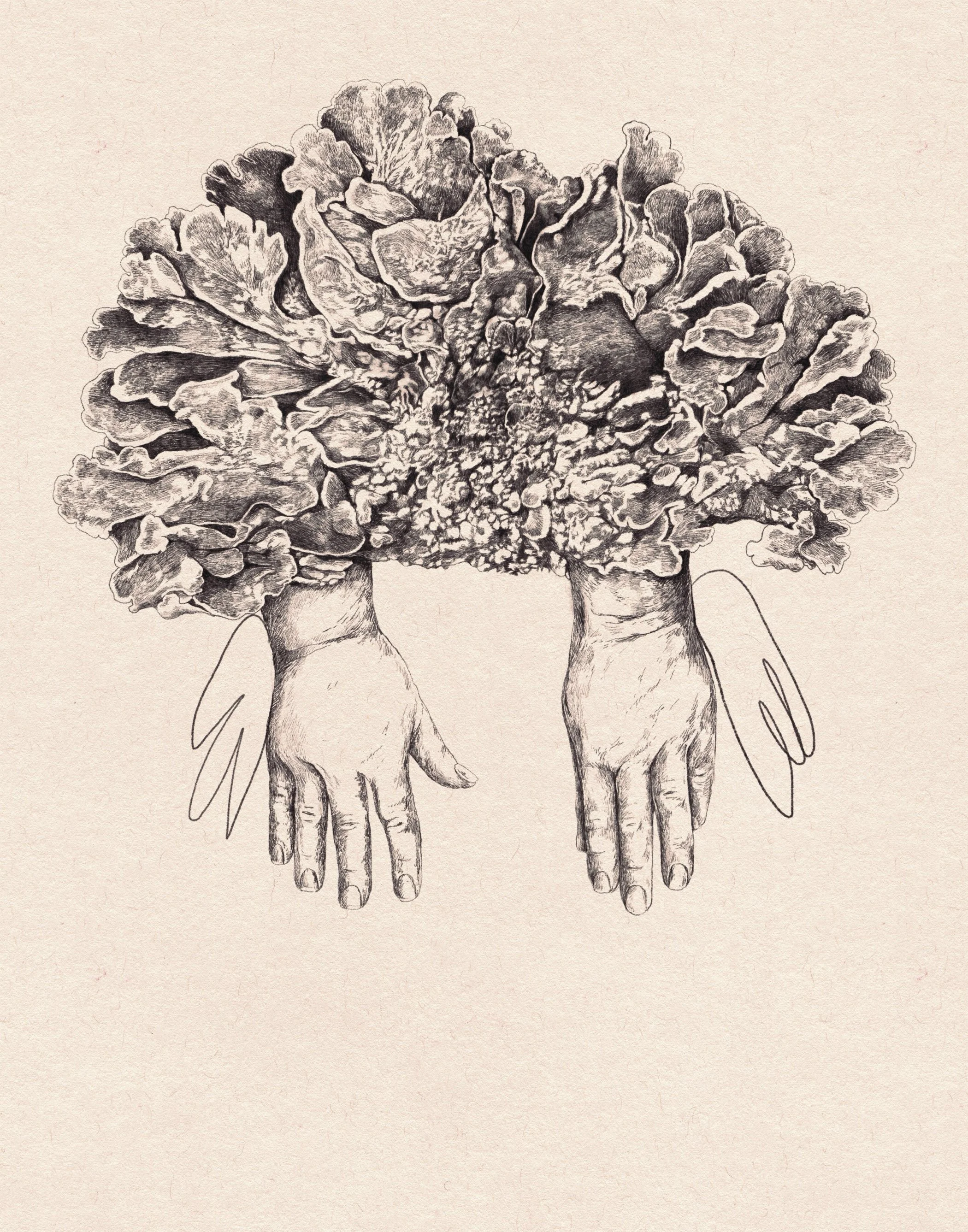 A black and white sketch of two hands with flowers and leaves growing from their wrists, with small wings attached to the sides of the hands.