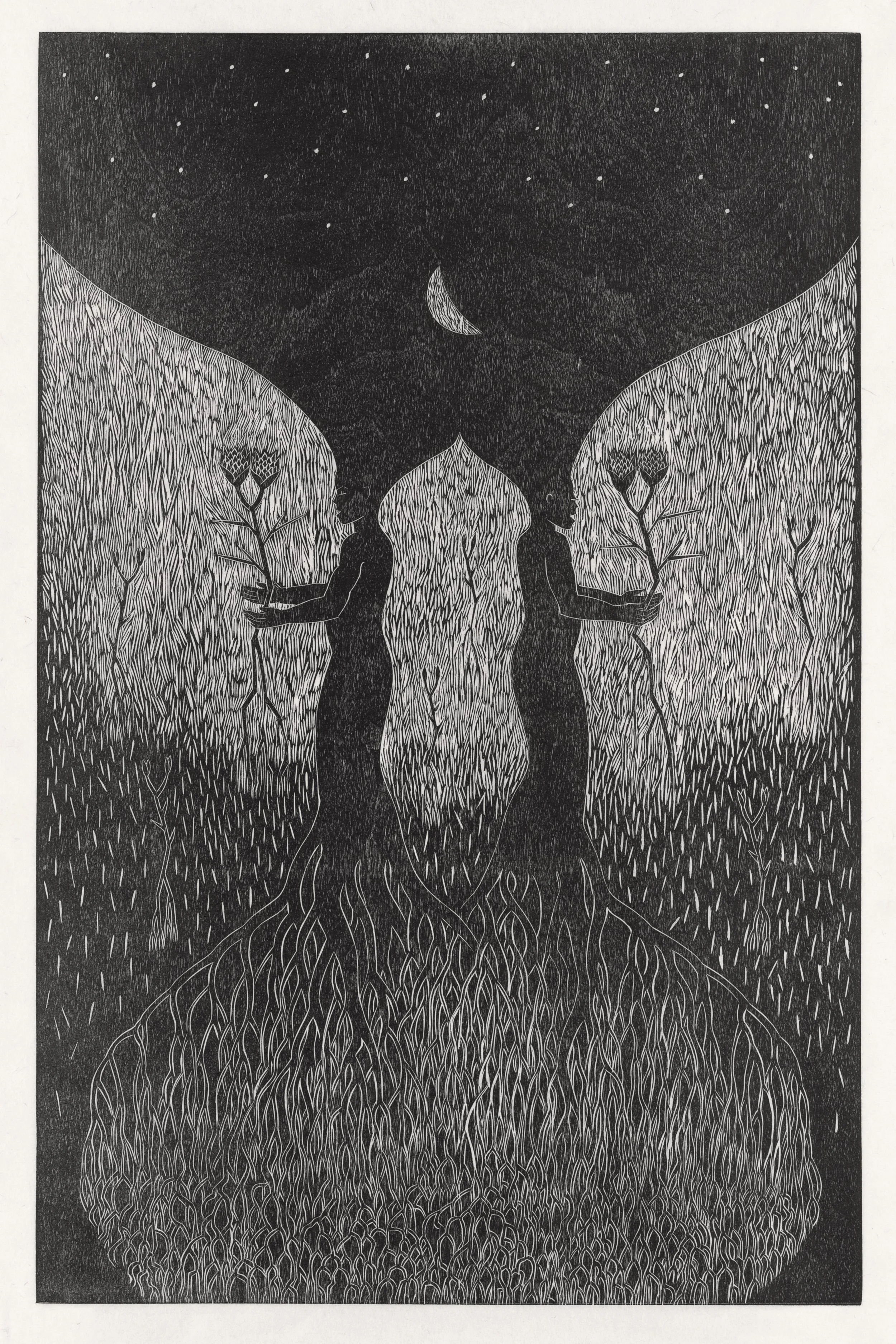 Invincible Spring - Pamela Dodds
