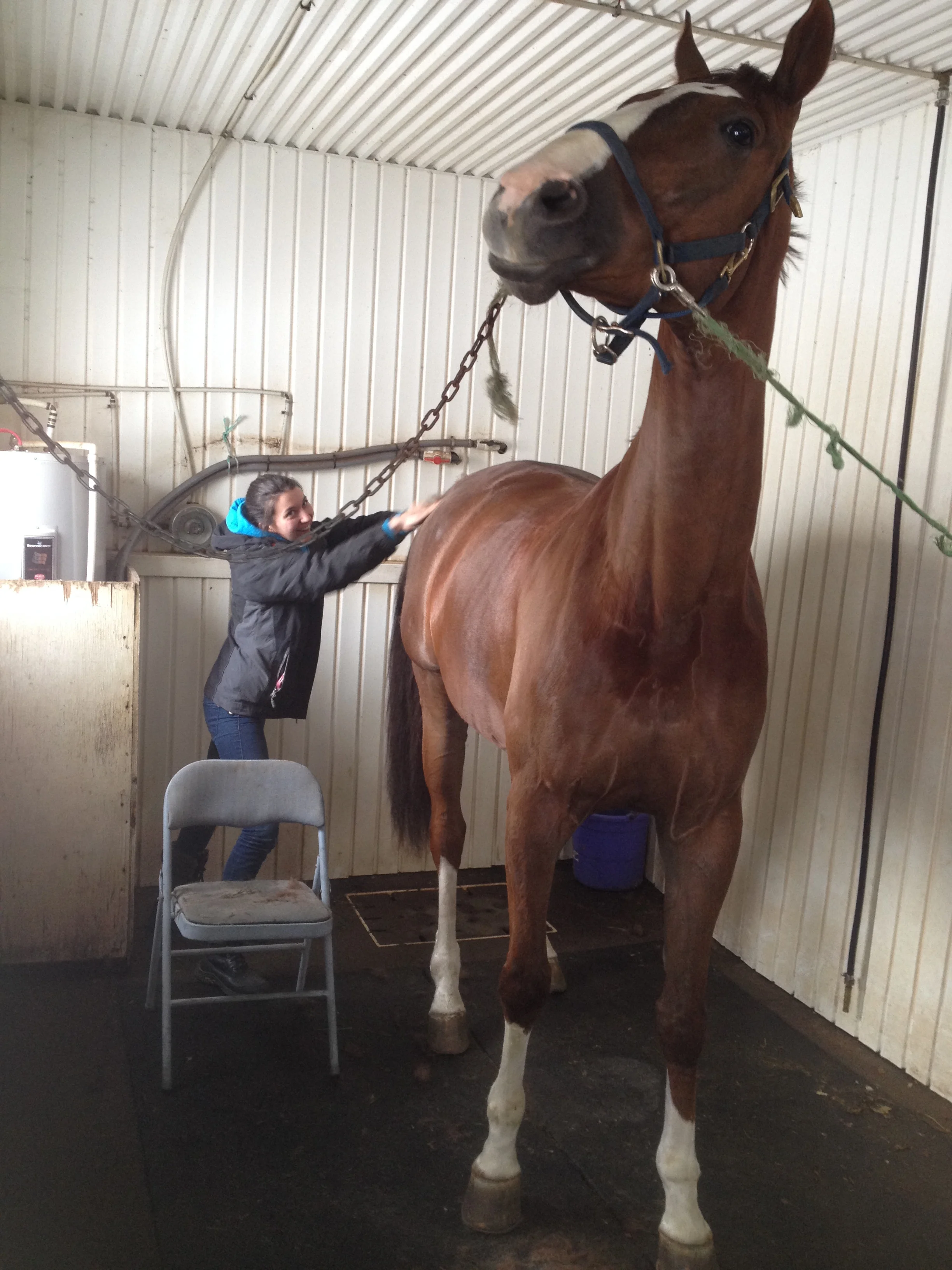 Carlos O'brian K.jpeg