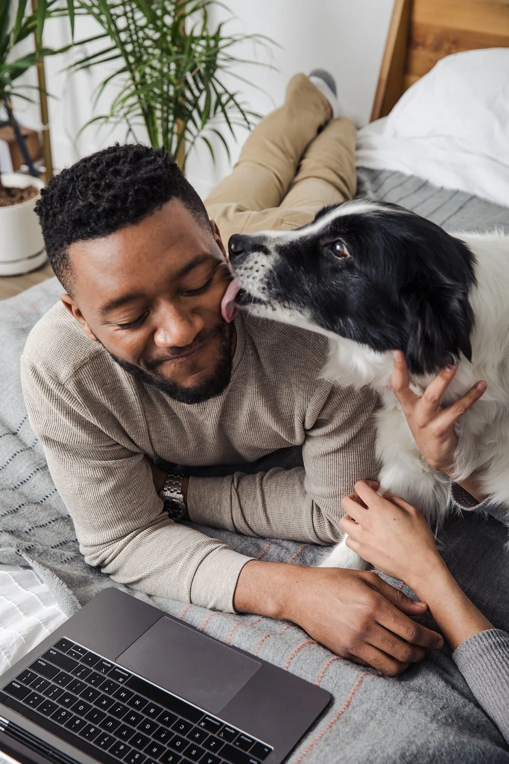 Boston-commercial-Real-Estate-lifestyle-pets-dog.jpg