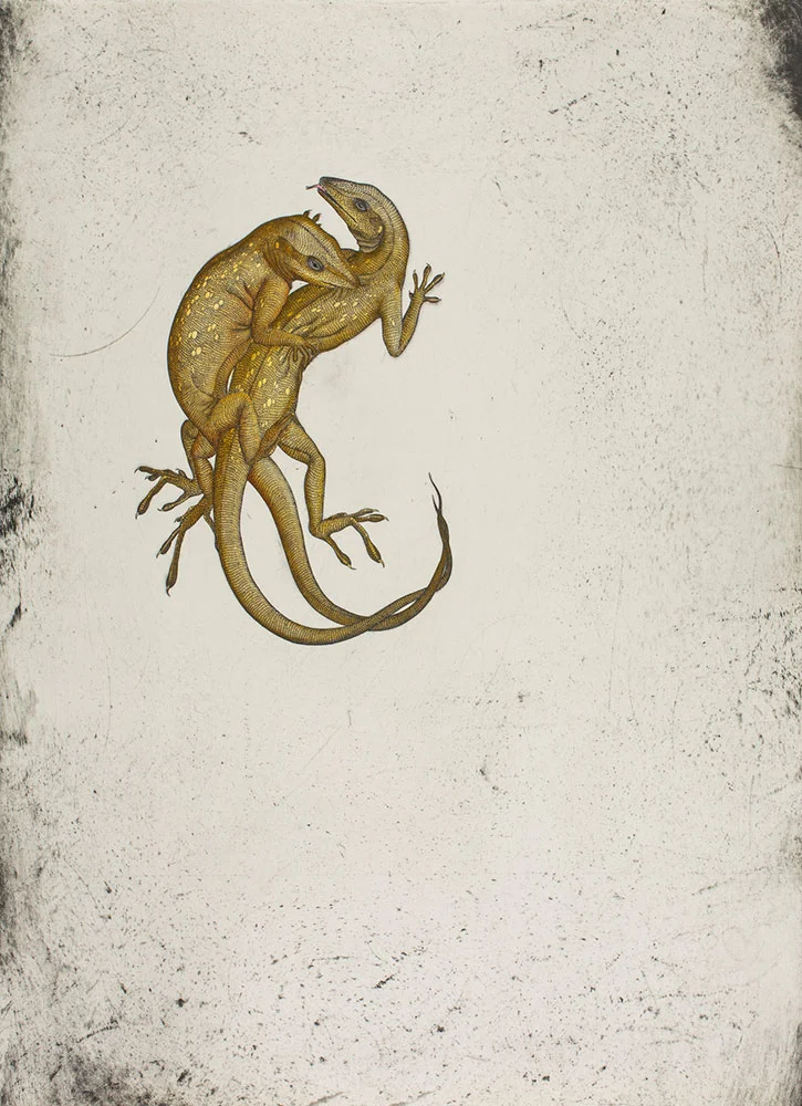 Anolis carolinensis