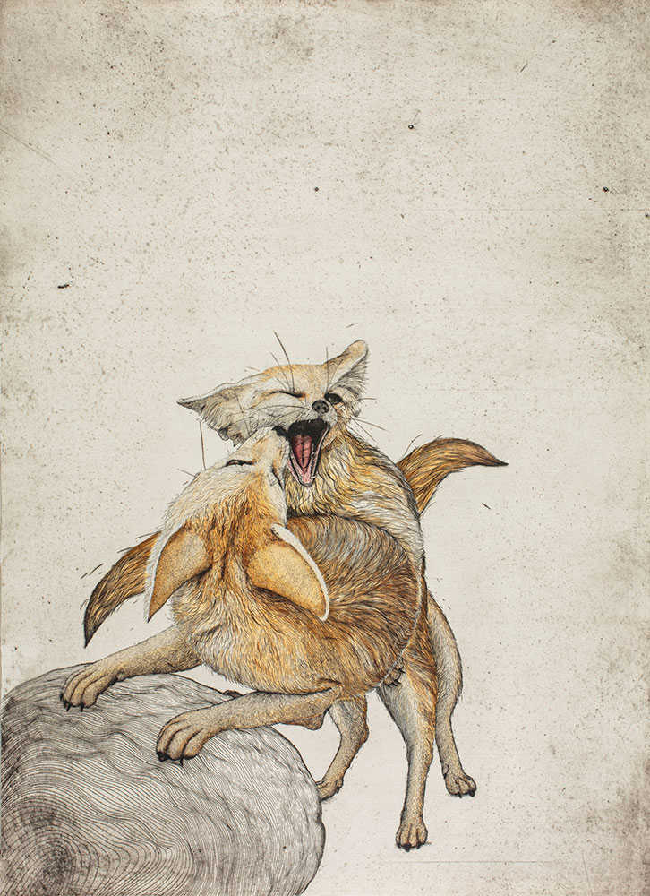 Vulpes zerda