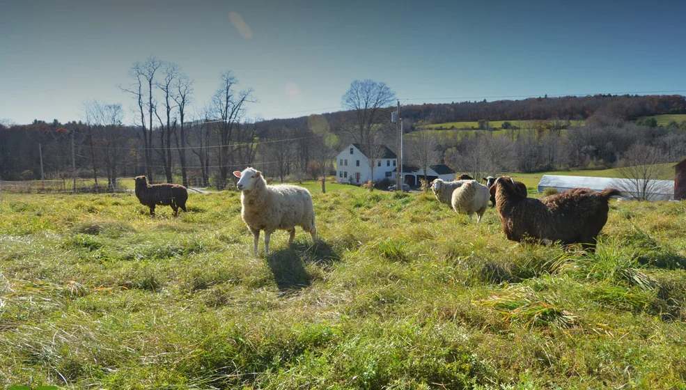 The Beautiful Bunker Farm