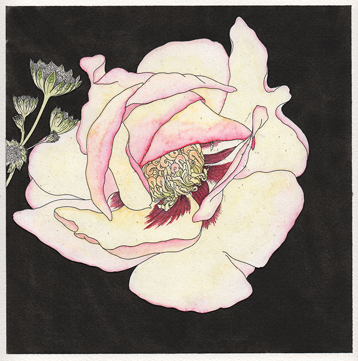 Peony.jpg