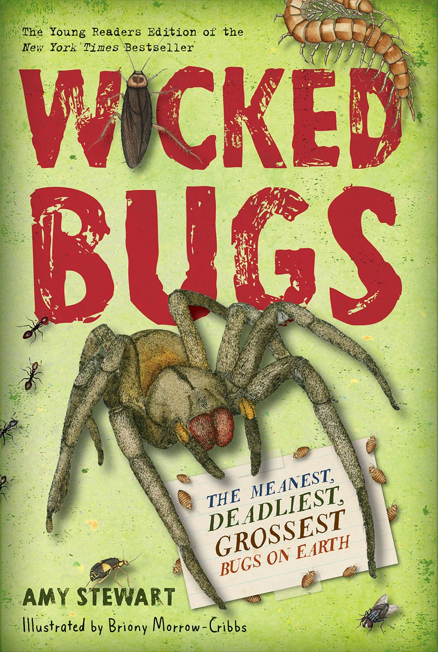Wicked Bugs Young Readers Edition by Amy Stewart