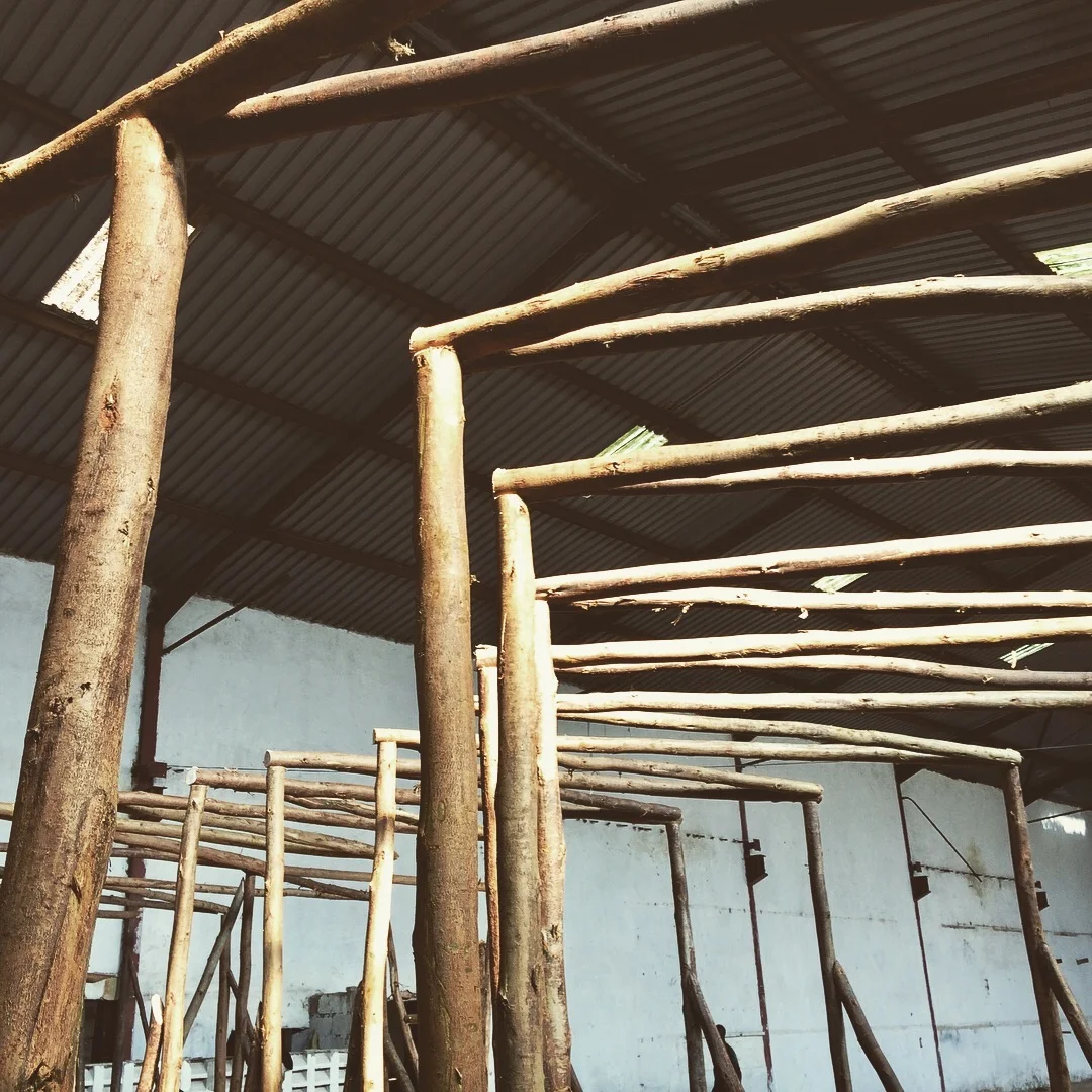 KLA Biennale 04.jpg