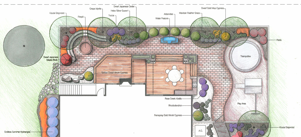 Back Yard Plan