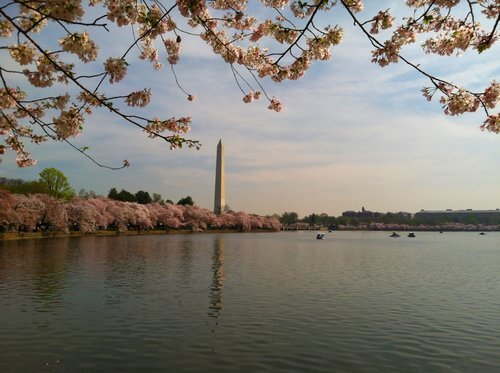 Washington+Monument++DC+2.JPG