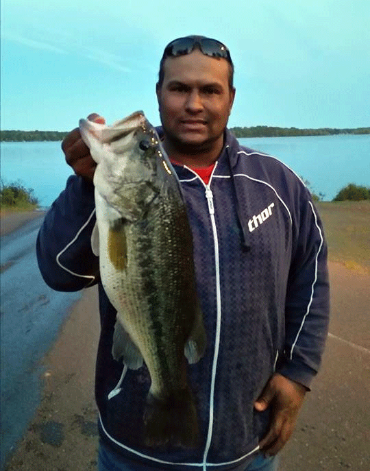 700 Tinsel Bass