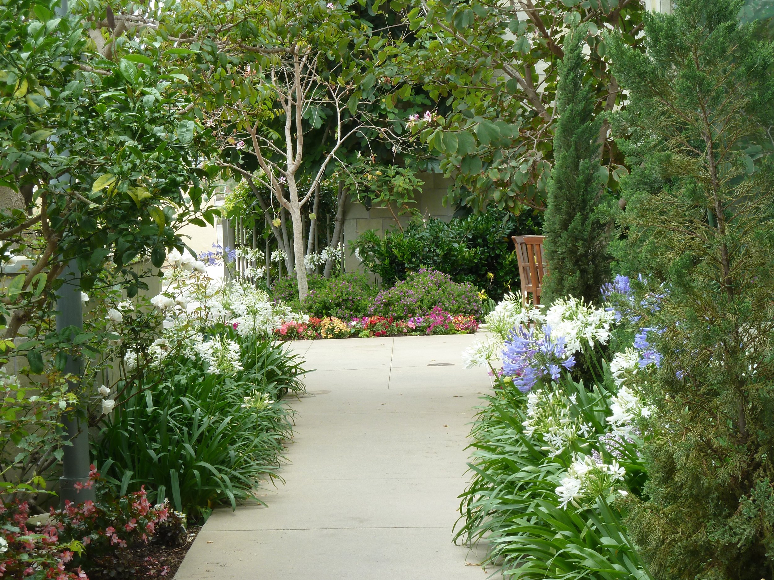 View of the Healing Garden, Spring 2016