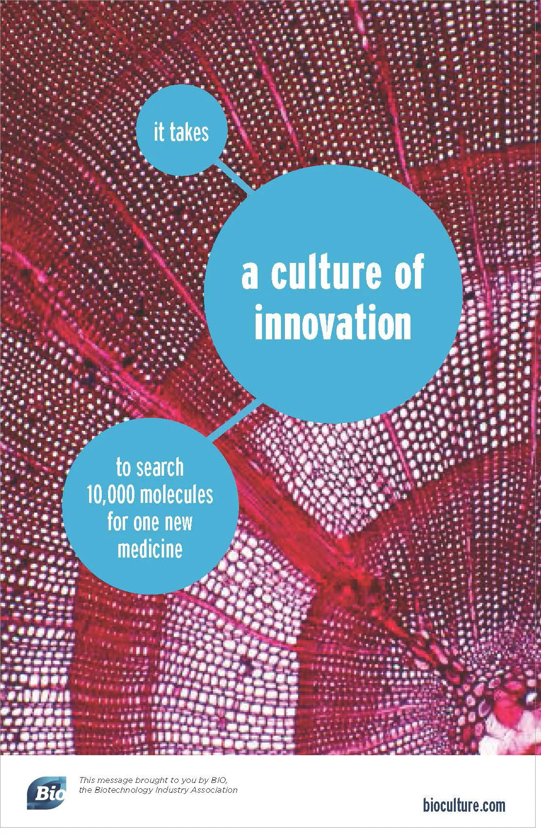 BIO_Creative__Page_16 copy.jpg