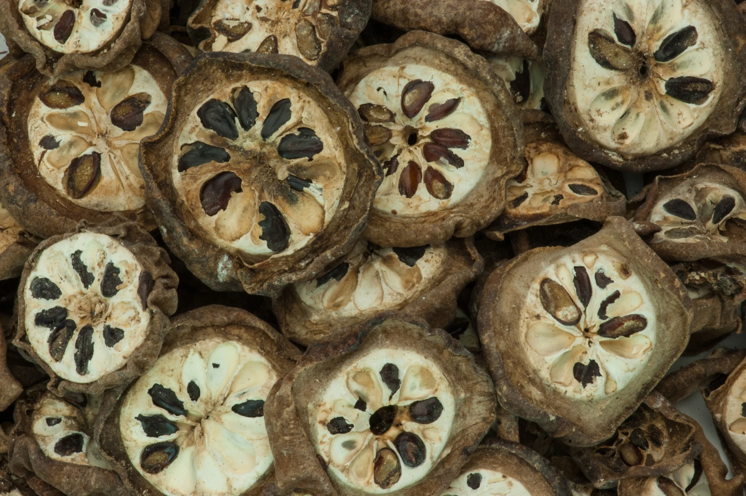 A variety of herbs can be used to supplement your acupuncture treatment