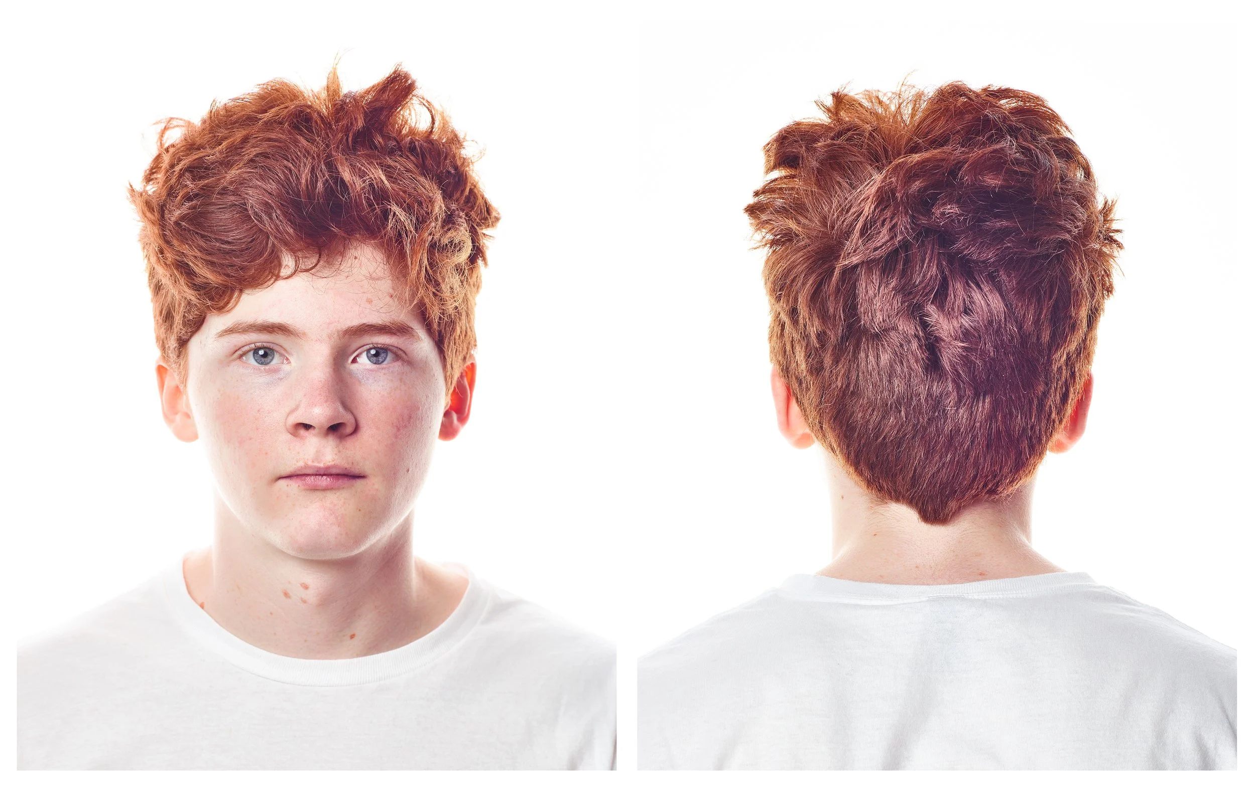 Rufus diptych by Wheaton Mahoney.jpg