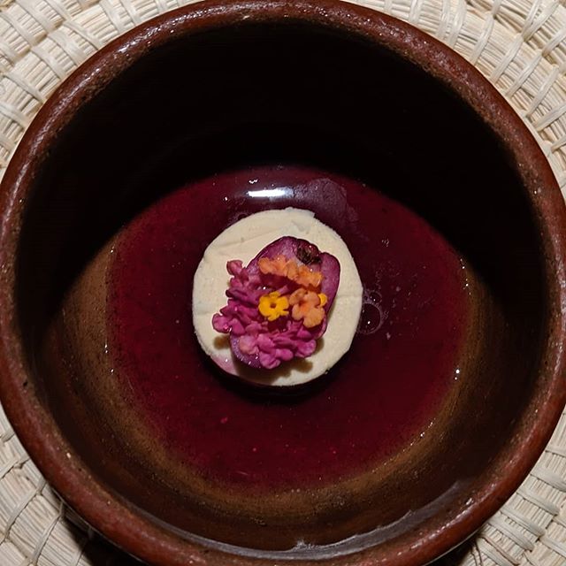 Im going to do something proper for this trip as far as photos are concerned but if you're looking to get fancy and you're in #quito #ecuador🇪🇨 visit Urko for their 10 course tasting menu... Quito, Ecuador 2019
