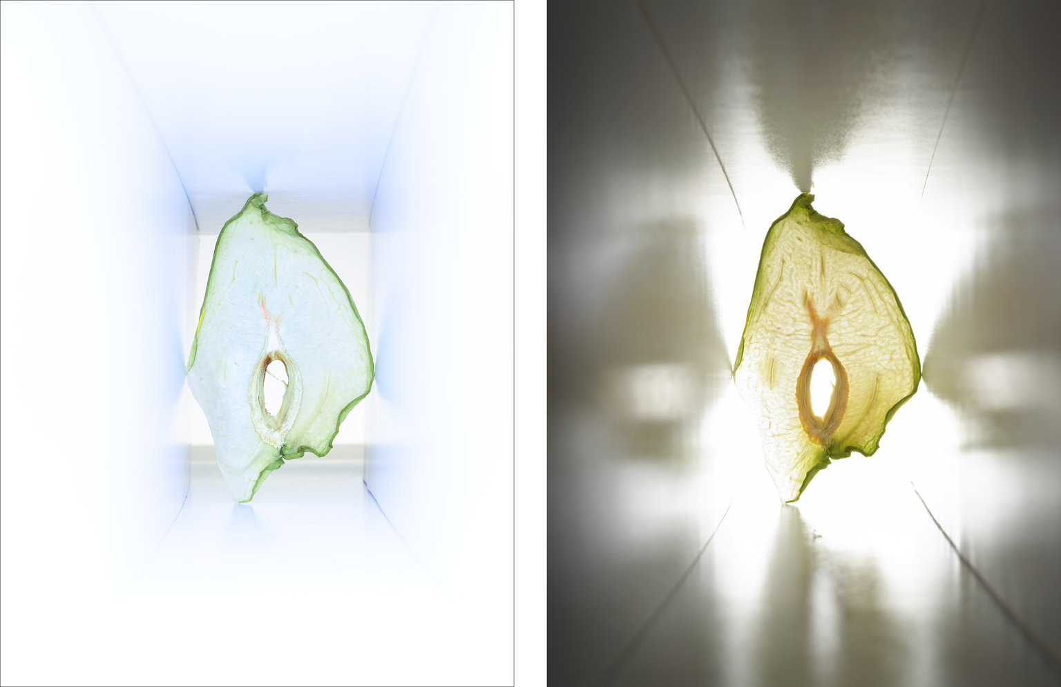 09_03_02_B_TCC_336_3TFLT.png