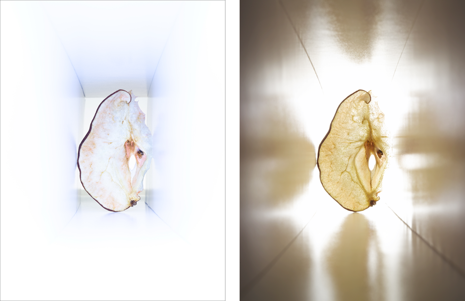 09_03_02_B_TCC_392_3TFlt.png