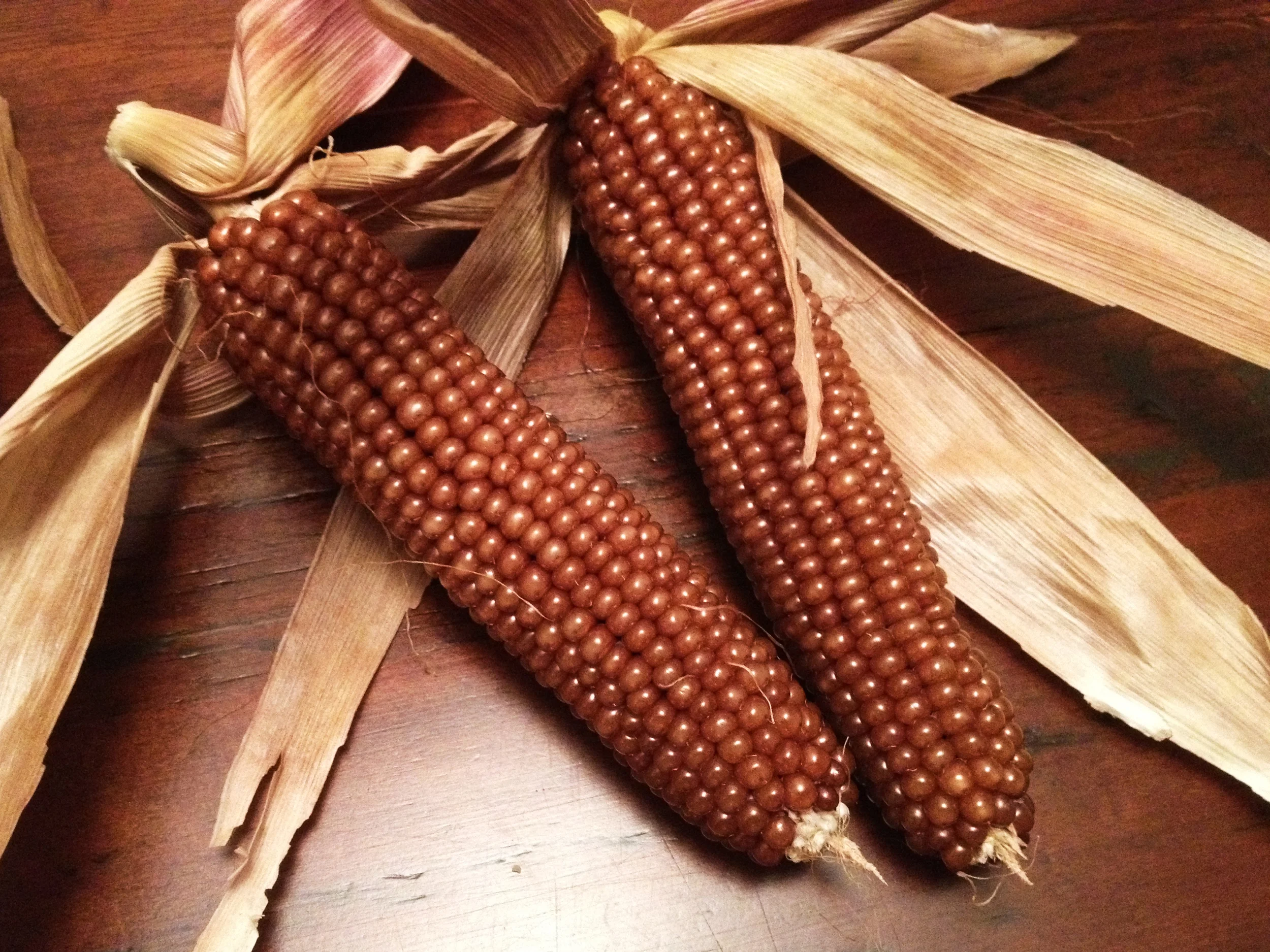 corn_1M.jpg