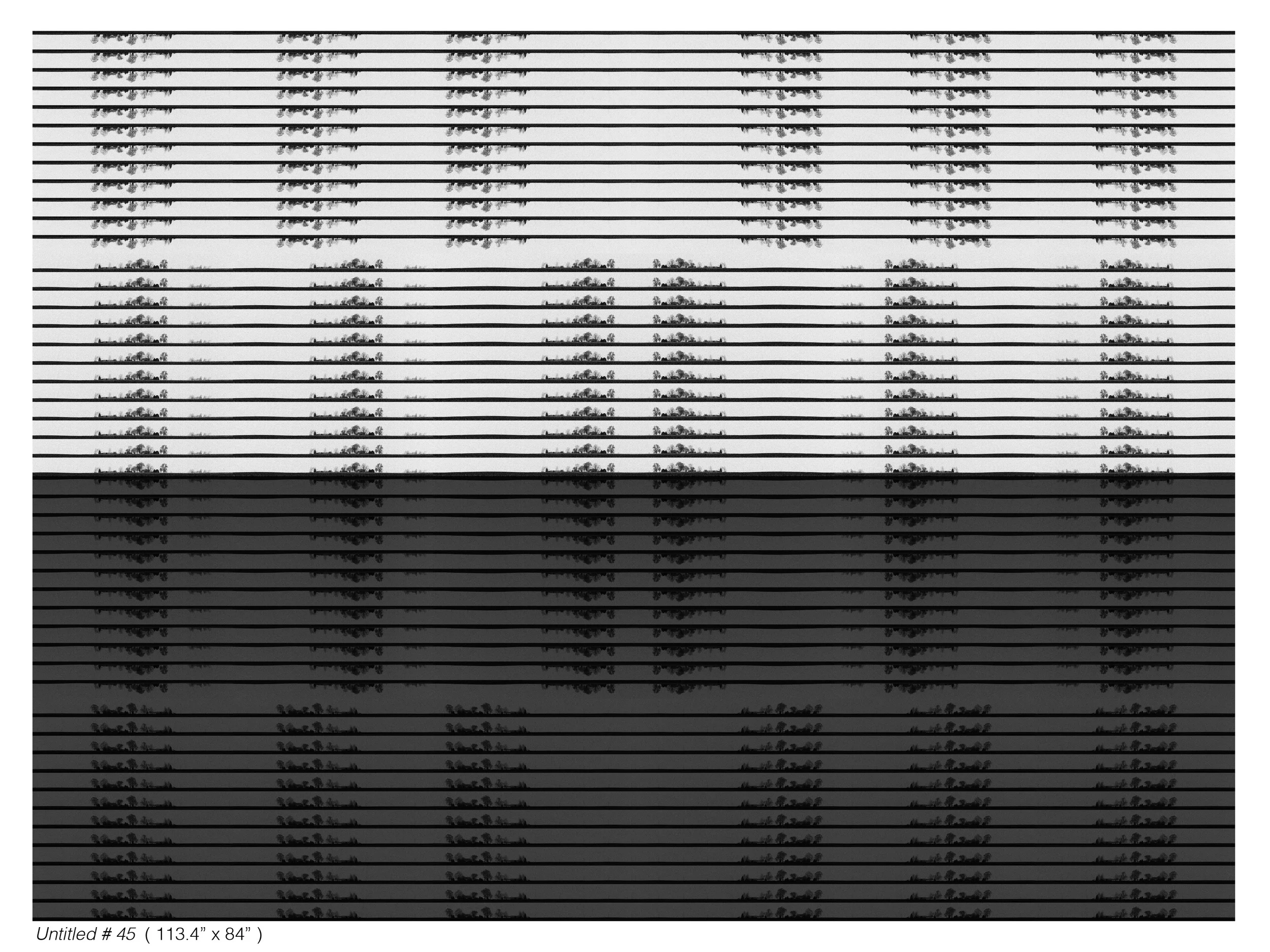 untitled # 45 new.jpg