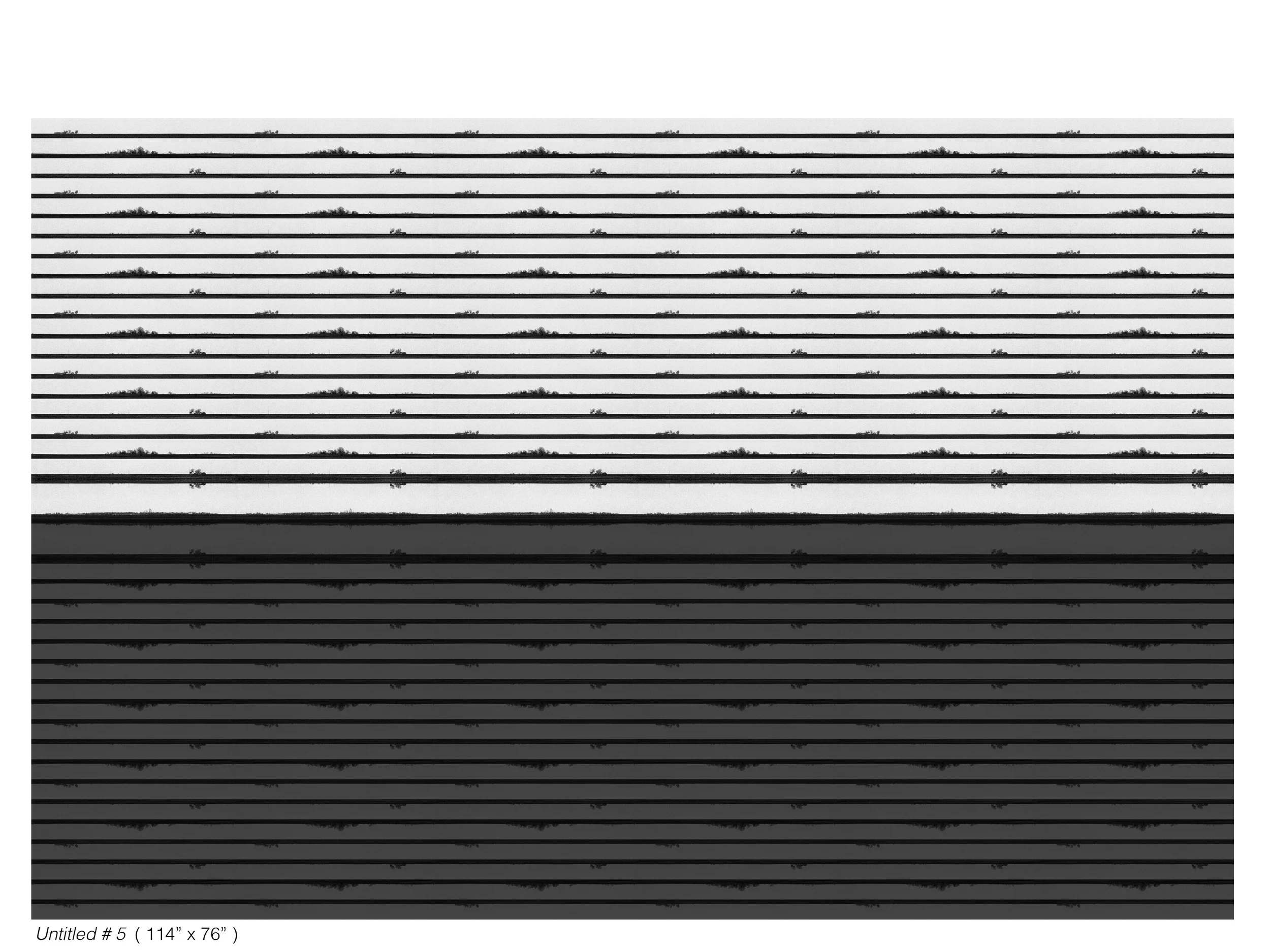untitled 5.jpg