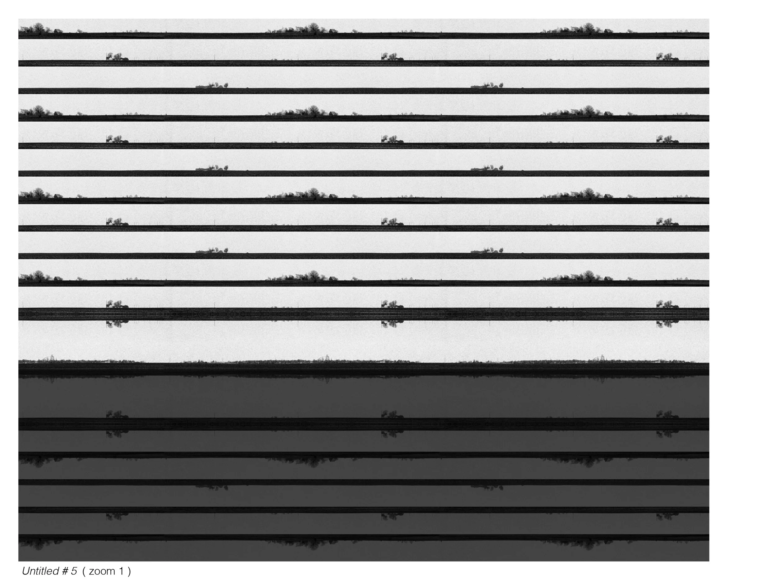 untitled 5 zoom 1.jpg