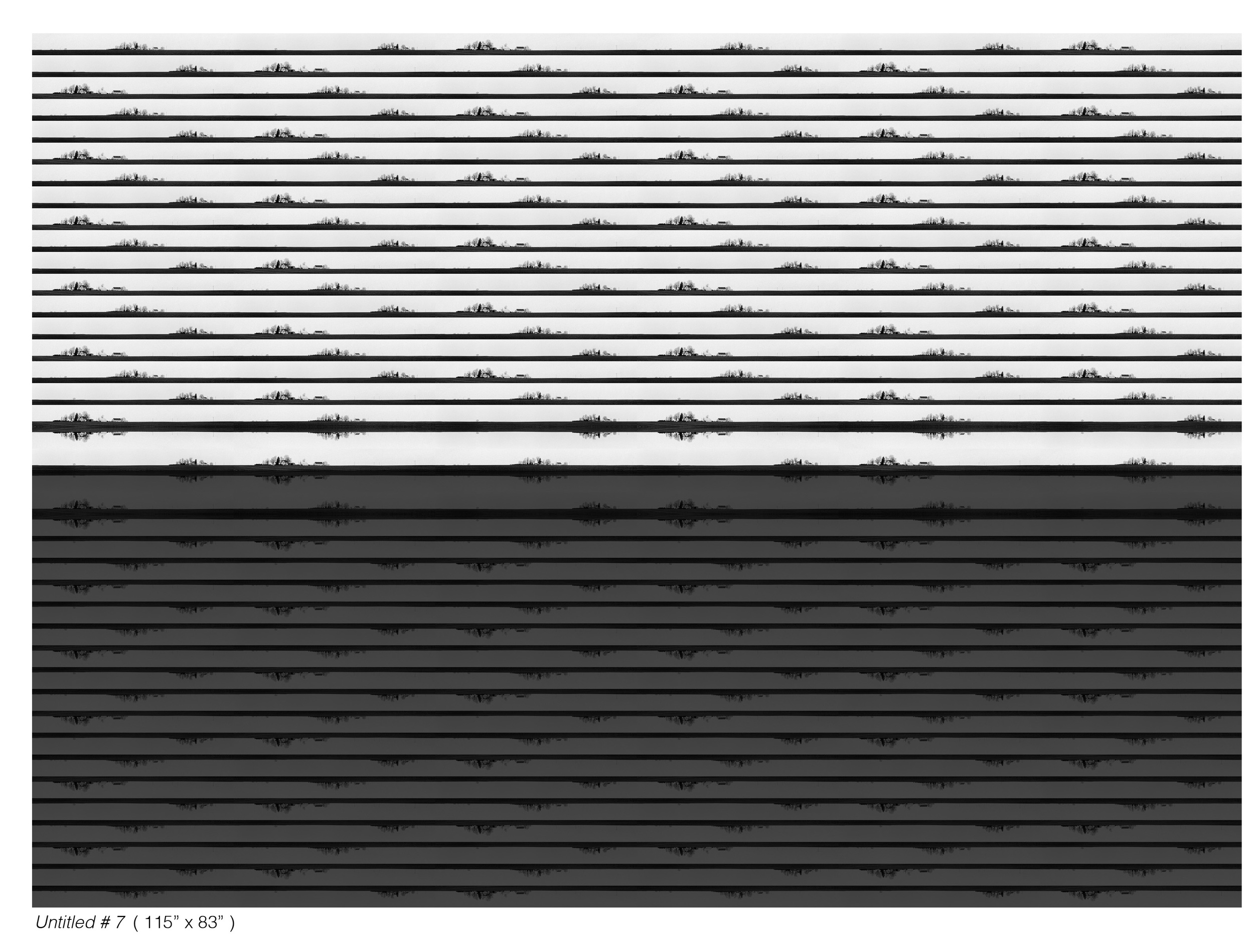 untitled 7.jpg