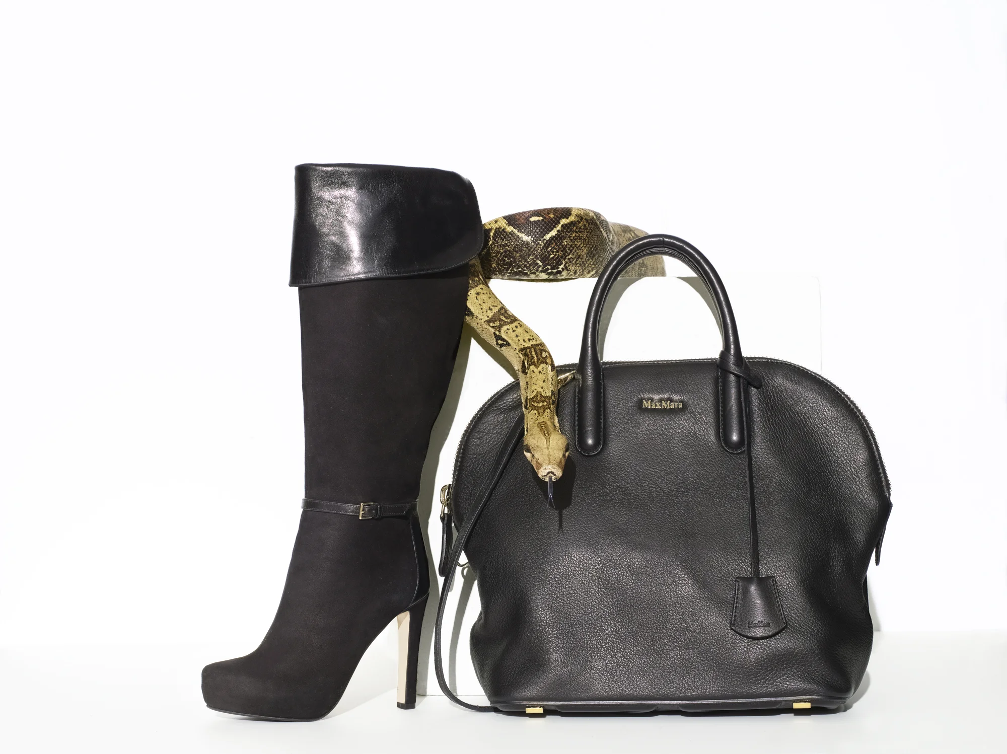 12_06_01_02_maxmara_boa_026_3M.jpg