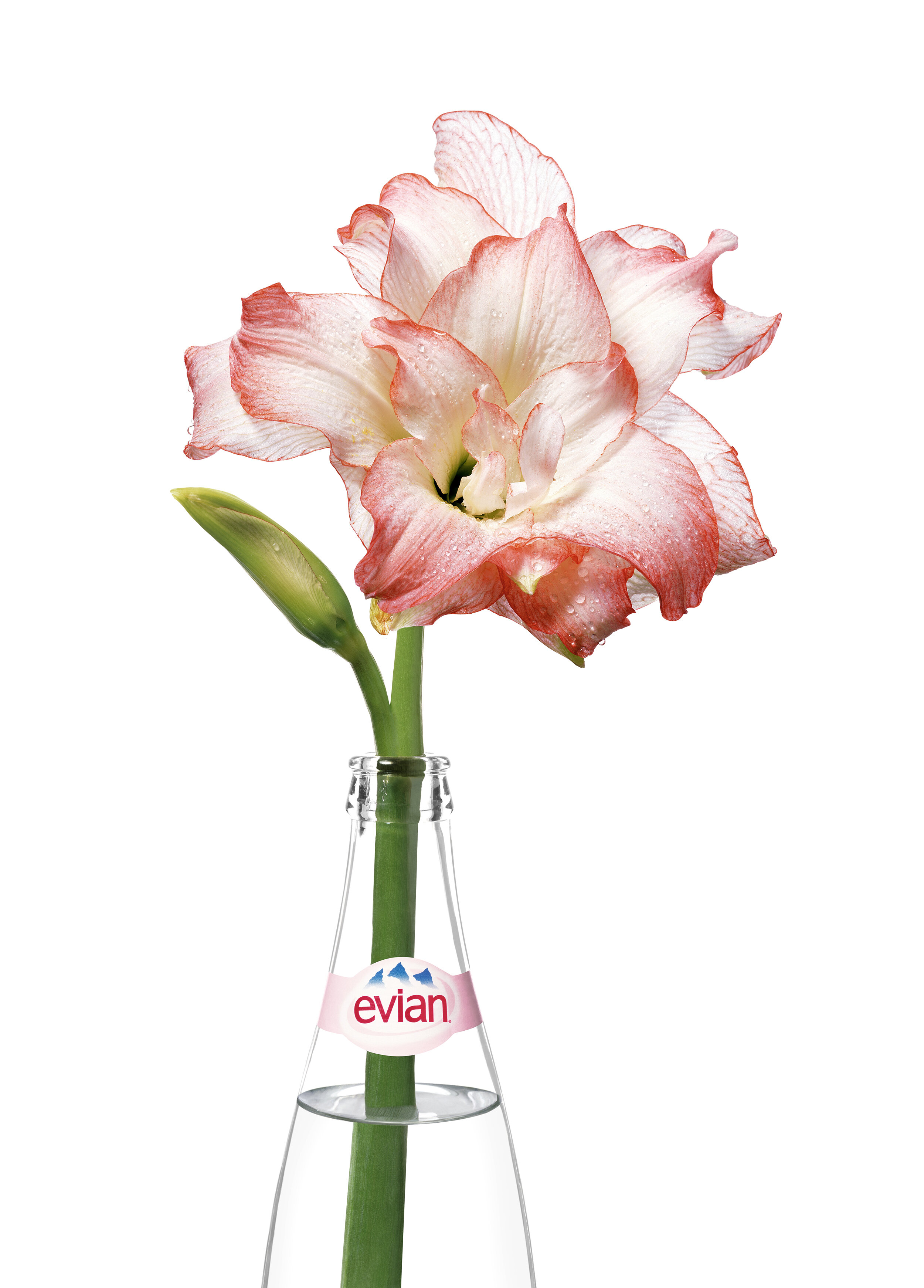 Evian