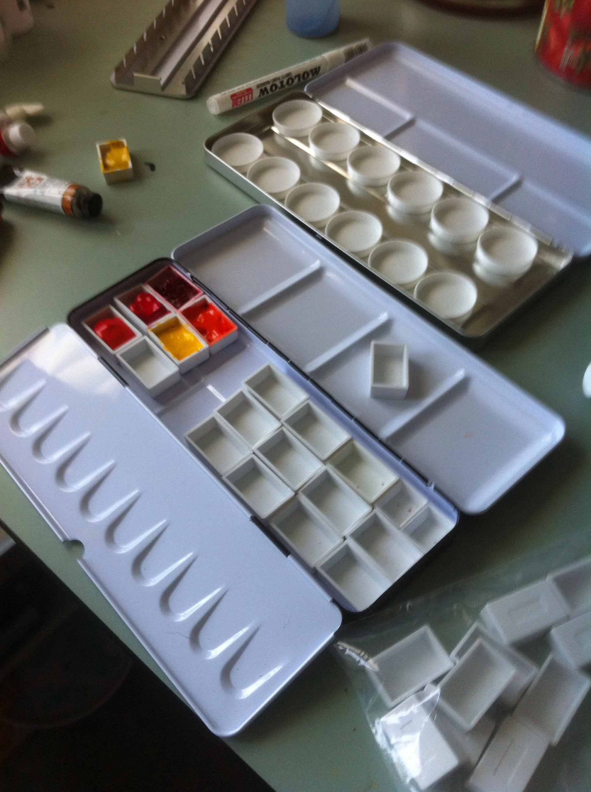 Paint transplant recipient