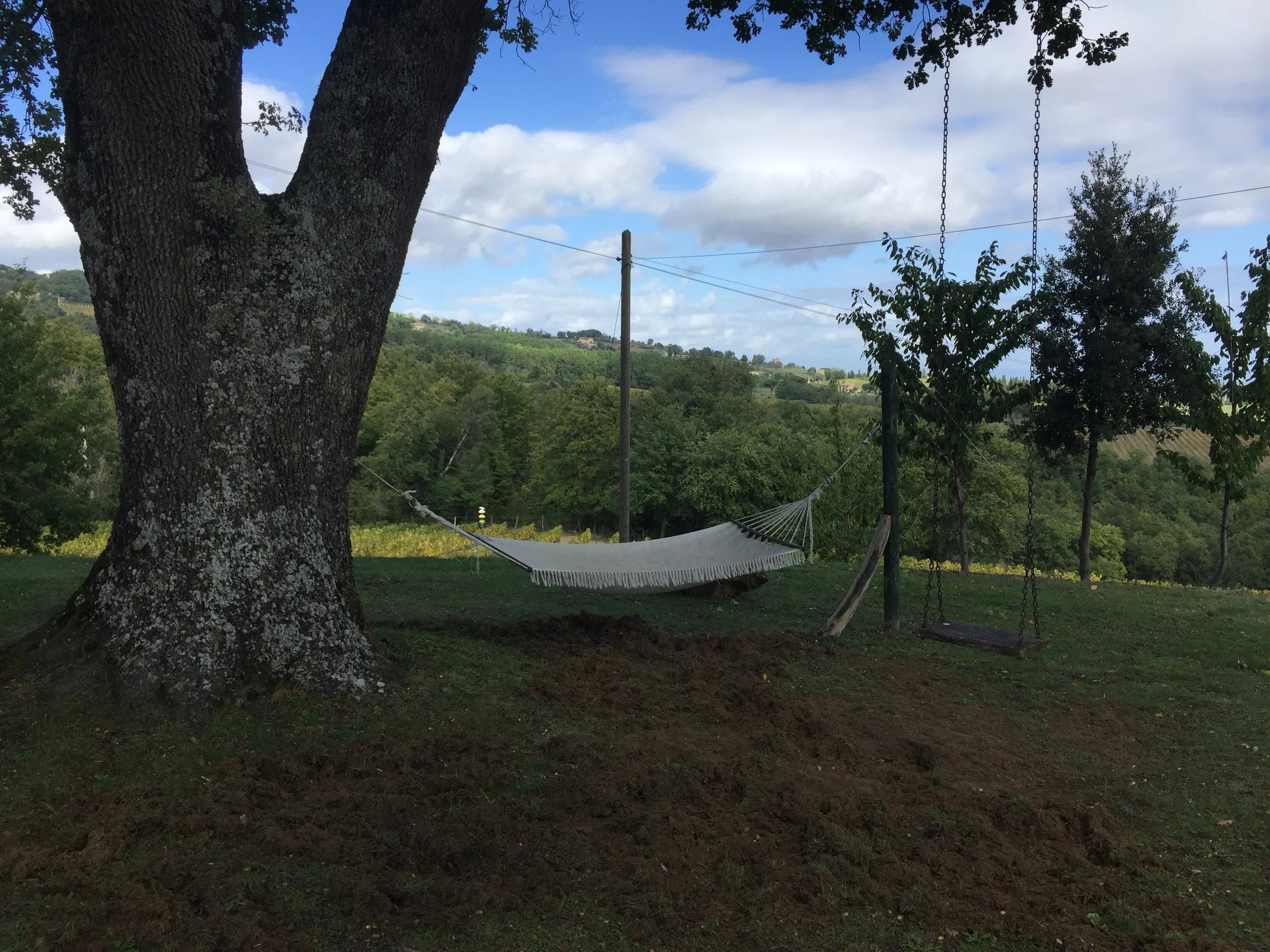Here is the actual hammock photo taken at the winery in Umbria