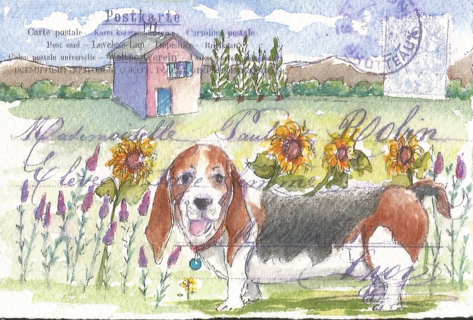 basset sunflowers edited.jpg