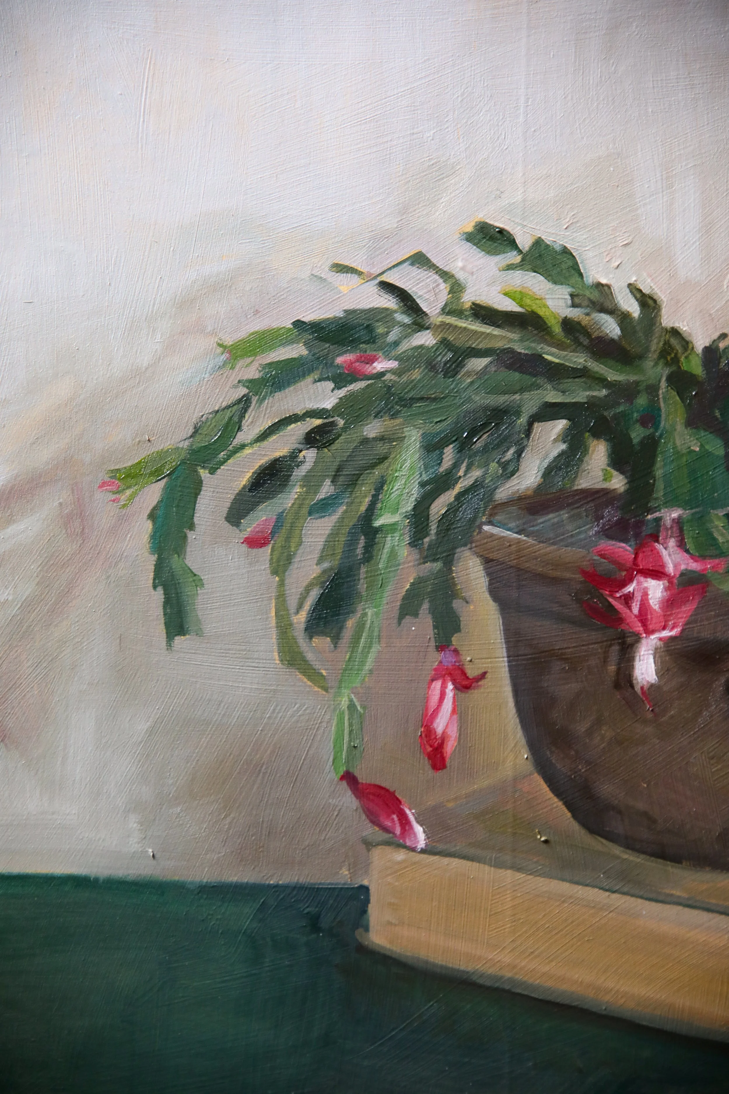 christmas cactus blooms-4.jpg