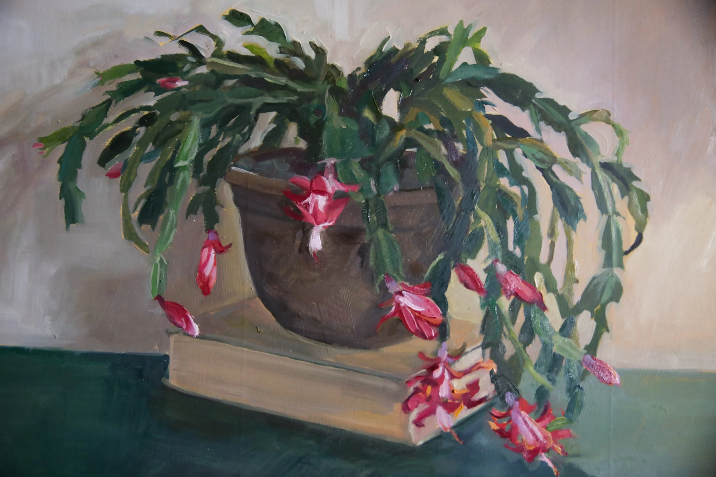 christmas cactus blooms-1.jpg
