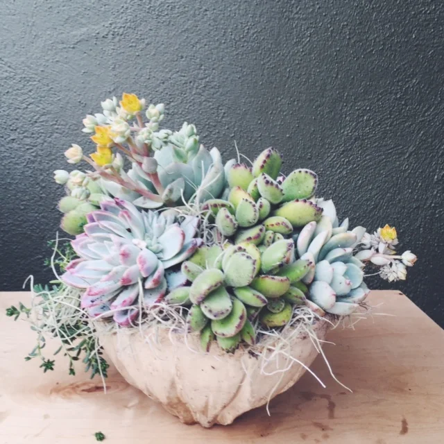 vscocam-photo-3.jpg