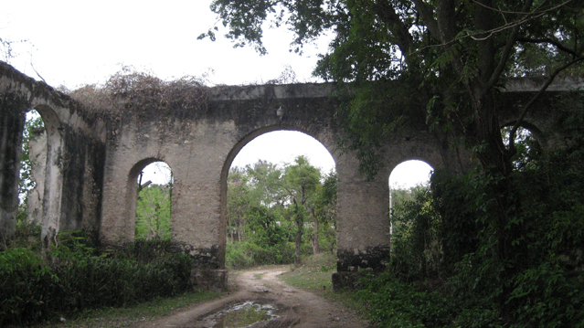 image2.jpg