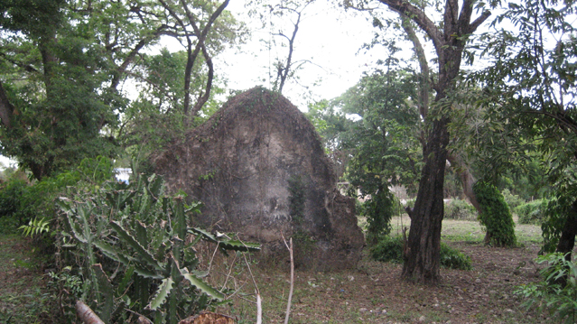 image3.jpg