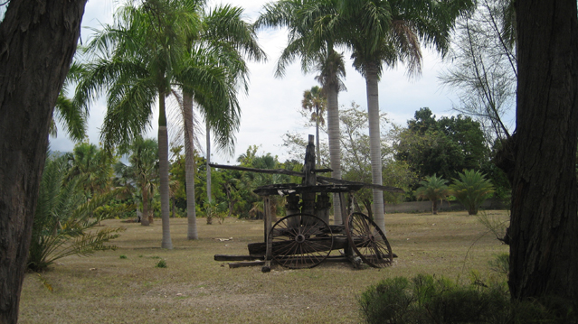 image1.jpg