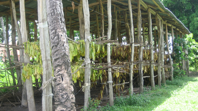 image4.jpg