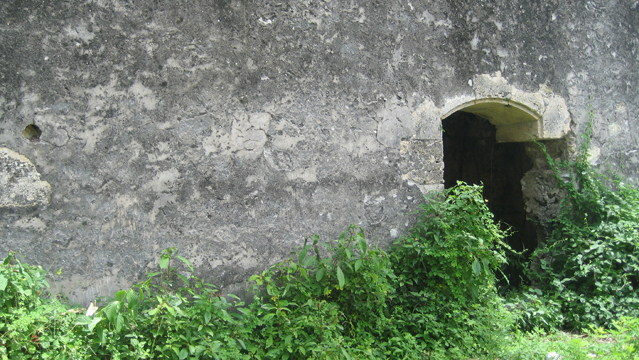 image6.jpg