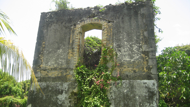 image6.jpg