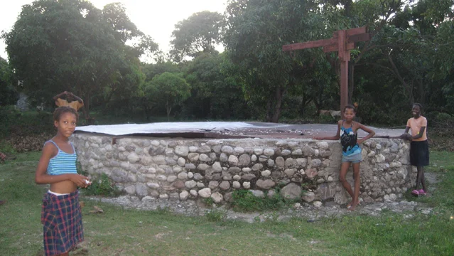 image6.jpg