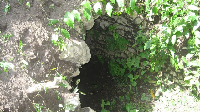 image0.jpg