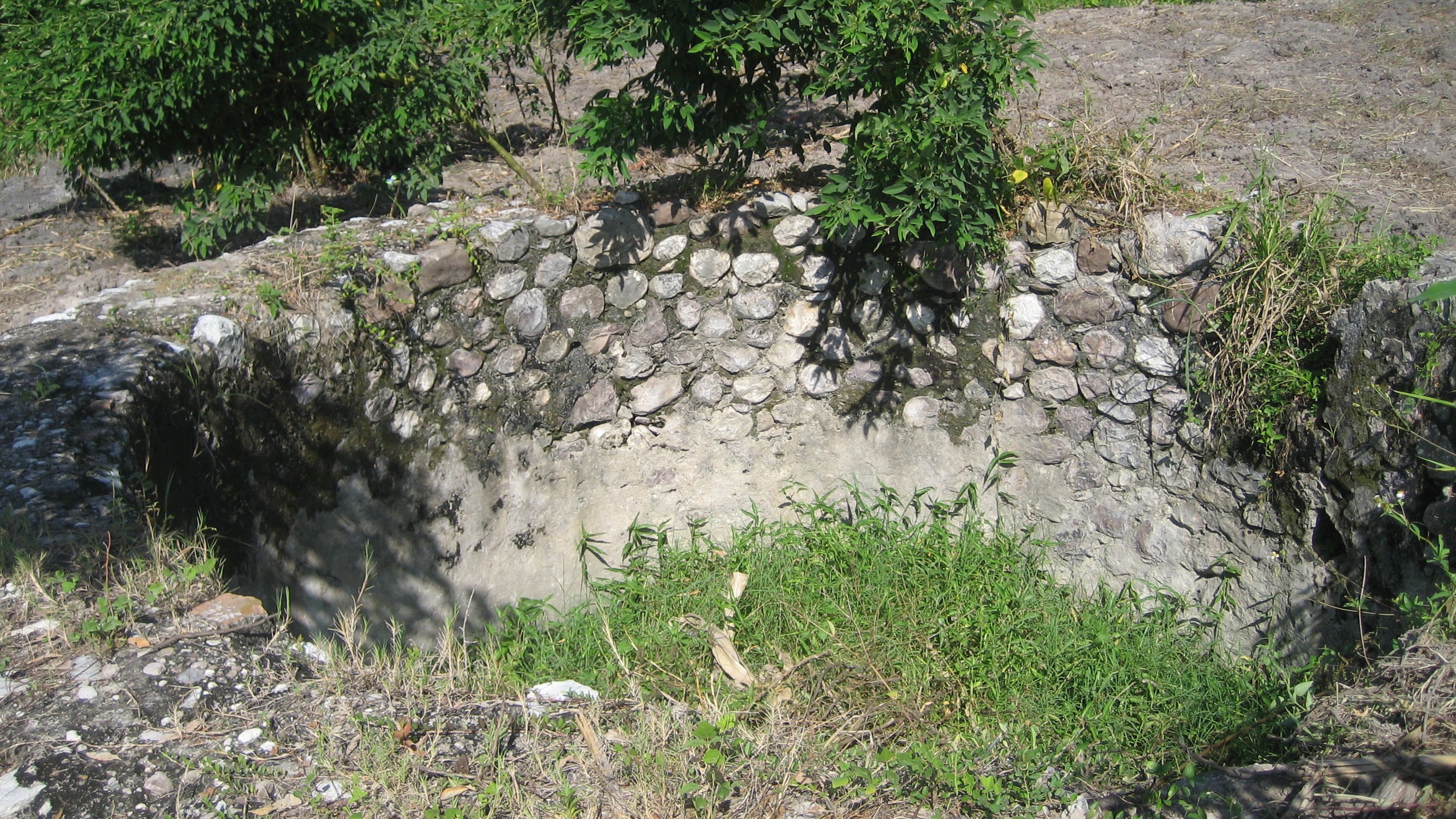 IMG_1737.JPG