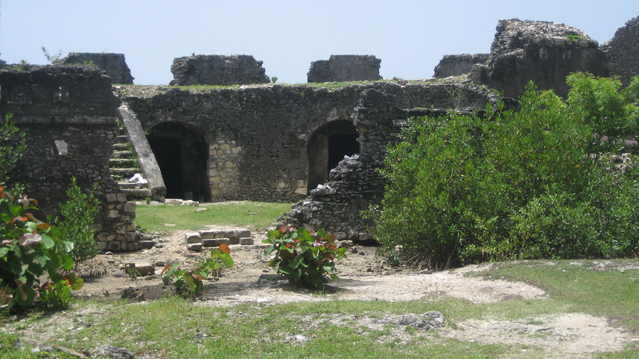 image12.jpg