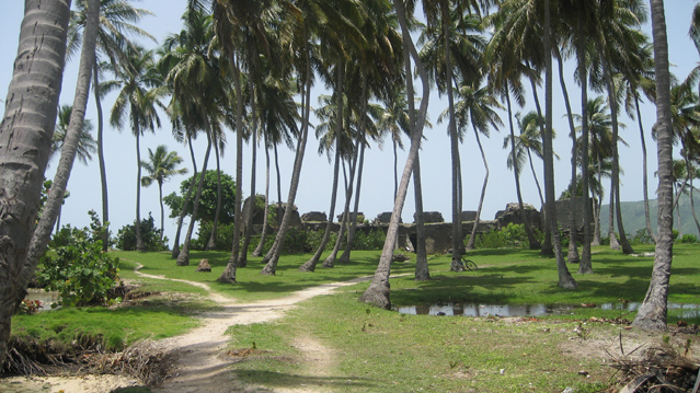 image11.jpg