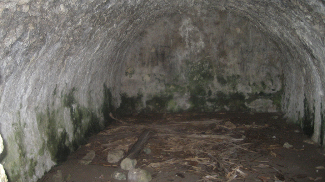 image25.jpg