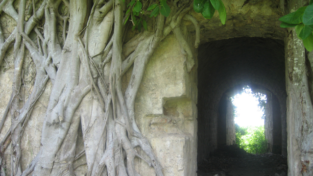 image27.jpg